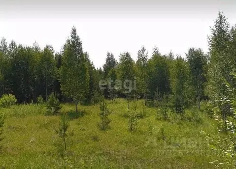 Участок в Свердловская область, Белоярский муниципальный округ, с. ...