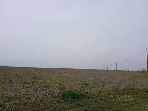 Участок в Крым, Первомайское пгт  (1000.0 сот.)