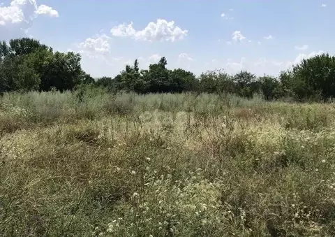 Участок в Ростовская область, Аксайский район, Мишкинская ст-ца  (12.0 ...