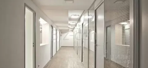 Офис в Санкт-Петербург ул. Чапаева, 3 (22 м)