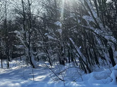 Участок в Московская область, Ступино городской округ, с. Хонятино  ...
