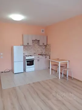 Студия Новосибирская область, Новосибирск ул. Виктора Шевелева, 36/1 ...