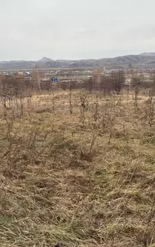 Участок в Алтай, Майминский район, с. Майма ул. Энергетиков (12.0 ...