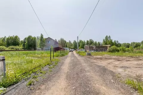 Участок в Тюменская область, Тюмень Якорь садовое товарищество, ул. ...