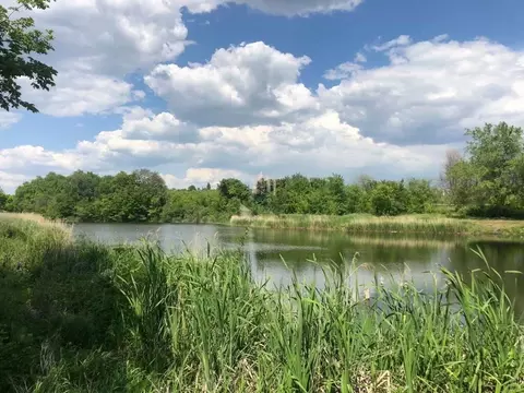 Участок в Саратовская область, Саратов проезд 3-й Назаровский (6.0 ...