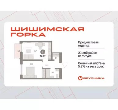 1-комнатная квартира: Екатеринбург, улица Гастелло, 18 (42.87 м)