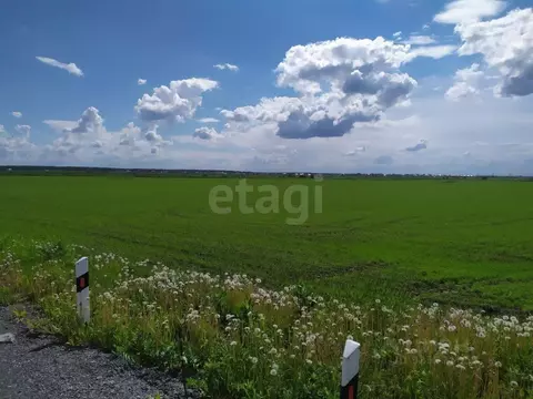 Участок в Тюменская область, Тюменский муниципальный округ, Серебряный ...