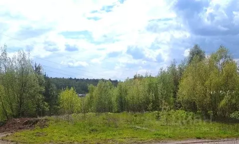 Участок в Московская область, Пушкинский городской округ, Поляны СТ  ...