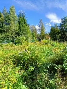 Дом в Ленинградская область, Выборгский район, Гончаровское с/пос, ...