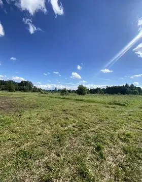 Участок в Ленинградская область, Кингисеппский район, Большелуцкое ...
