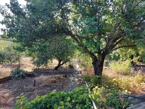 Участок в Крым, Симферопольский район, с. Трудовое, Дружба СПК ул. ...