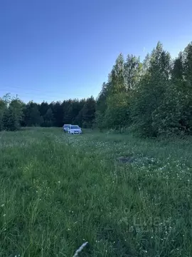 Участок в Нижегородская область, Нижний Новгород д. Горный Борок, 33 ...