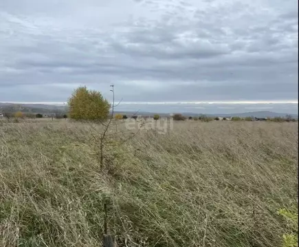 Участок в Алтай, Майминский район, с. Подгорное ул. Магистральная (8.0 ...