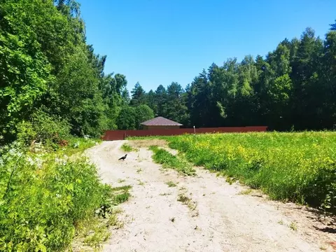 Участок в Тульская область, Ясногорский район, Иваньковское с/пос, д. ...
