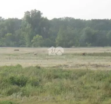 Участок в Плотниковский сельсовет (10 м)