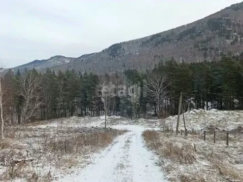 Участок в Алтай, Майминский район, Манжерокское с/пос, с. Озерное ул. ...