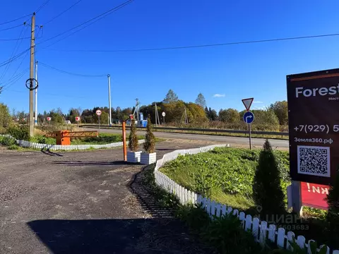 Участок в Московская область, Дмитровский муниципальный округ, Форест ...