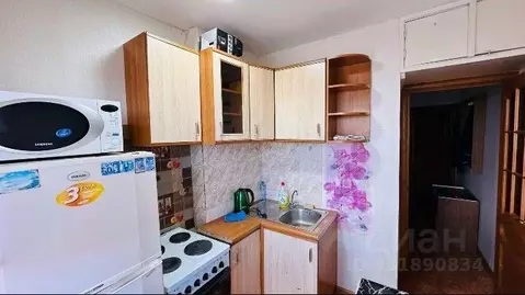 1-к кв. Иркутская область, Иркутск Топкинский мкр, 38 (30.0 м)