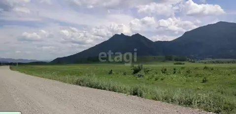 Участок в Алтай, Усть-Коксинский район, с. Тихонькая  (34.2 сот.)