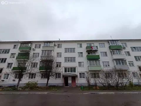 2-комнатная квартира: село Растуново, улица Заря, 10 (44 м)