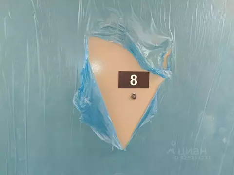 2-к кв. Москва Клинская ул., 2А (67.0 м)