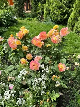 Дом в Челябинская область, Челябинск ул. Кудрина, 38 (204 м)