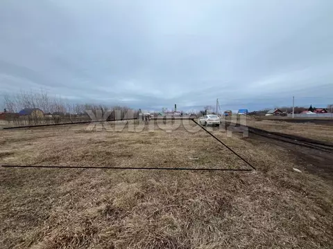 Участок в Новосибирская область, Новосибирский район, Боровской ...