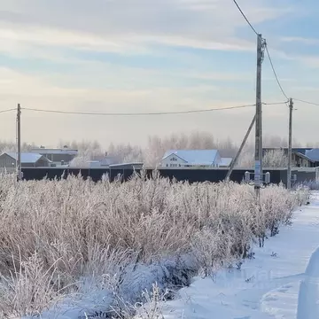 Участок в Московская область, Дмитровский муниципальный округ, д. ...