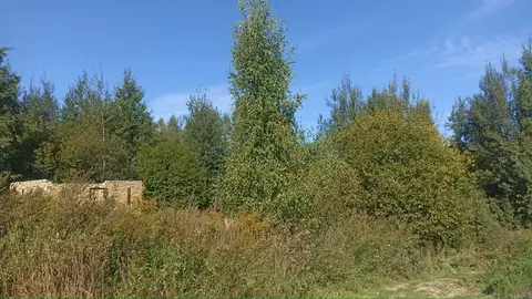 Участок в Нижегородская область, Нижний Новгород Культура с/пос,  ...