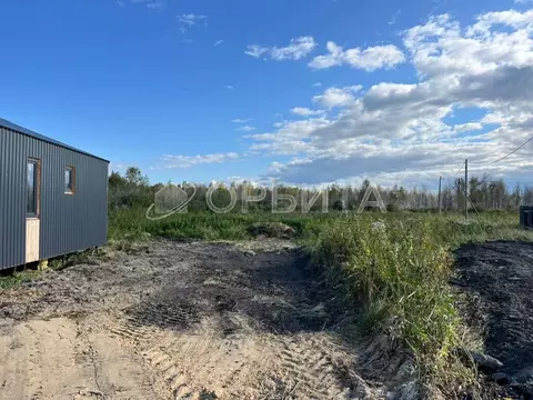 Участок в Тюменская область, Тюмень Плодовое СНТ, ул. Утренняя, 6 (4.2 ...