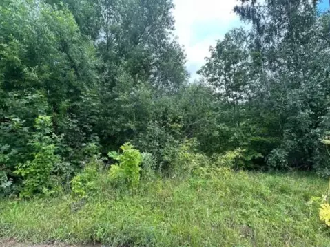 Участок в Московская область, Коломна городской округ, д. Каблучки  ...