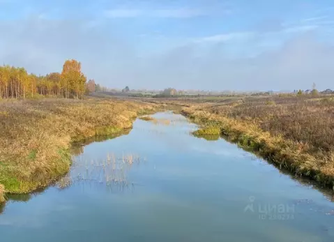 Участок в Тверская область, Кашинский муниципальный округ, д. ...