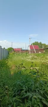 Участок в Алтайский край, Первомайский район, с. Санниково, Огородник ...