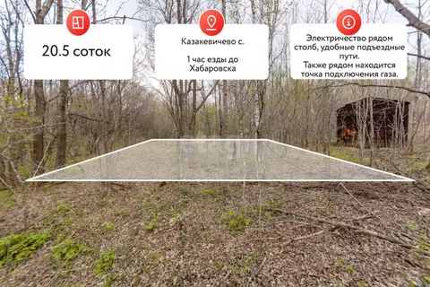 Участок в Хабаровский край, Хабаровский район, с. Казакевичево  (20.5 ...