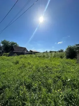 Участок в Алтай, Майминский район, с. Подгорное Набережная ул. (16.0 ...