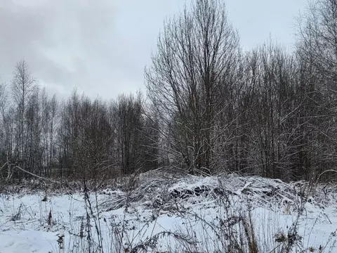 Участок в Московская область, Сергиев Посад  (14.24 сот.)