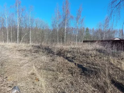 Участок в Владимирская область, Петушинский район, д. Пекша  (13.0 ...