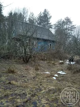 Участок в Псковская область, Пустошкинский район, Забельская волость, ...