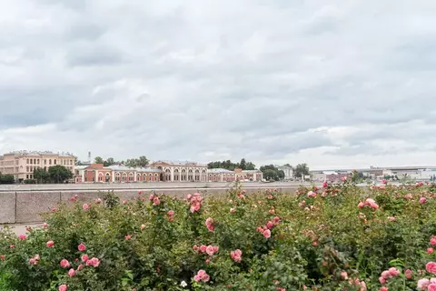 Свободной планировки кв. Санкт-Петербург наб. Воскресенская, 4 (132.0 ...