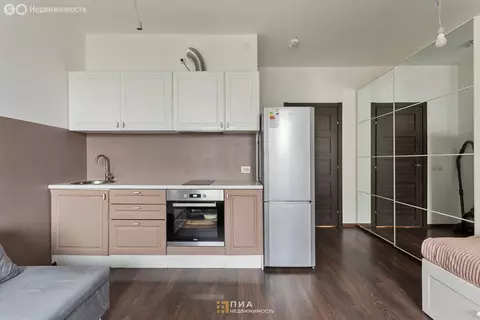 Квартира-студия: Санкт-Петербург, Ультрамариновая улица, 8 (24.3 м)