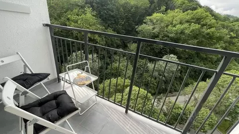 1-к кв. Краснодарский край, Сочи ул. Искры, 88к8 (28.0 м)