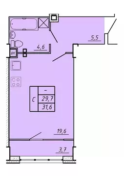 Студия Ивановская область, Иваново Видный мкр,  (31.6 м)