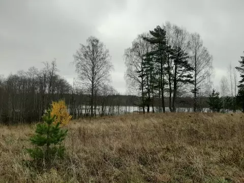 Участок в Новгородская область, Валдайский район, Едровское с/пос  ...