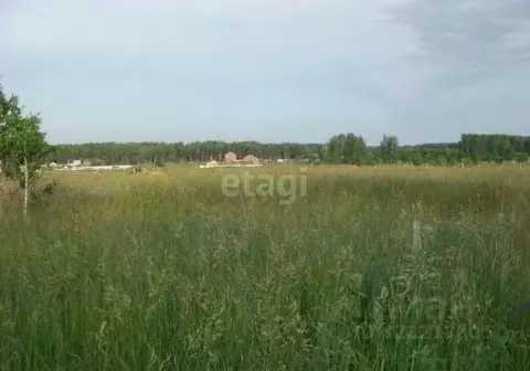 Участок в Челябинская область, Сосновский муниципальный округ, пос. ...