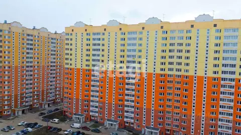 Студия Калужская область, Калуга Хрустальная ул., 44к3 (24.5 м)