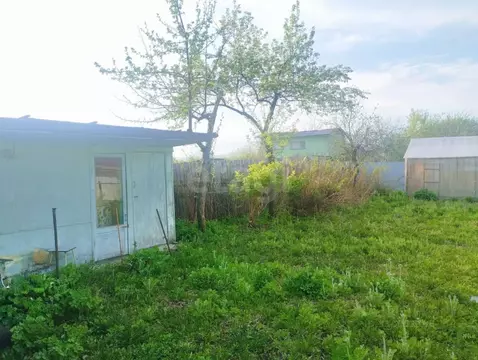 Участок в Челябинская область, Озерск Малая Нанога СНТ, 3-й кв-л,  ...