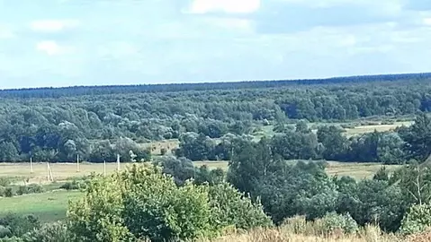 Участок в Воронежская область, Рамонский район, с. Березово ...