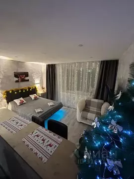 Студия Ленинградская область, Выборг ул. Сторожевой Башни, 9 (24.0 м)