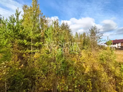 Участок в Ленинградская область, Всеволожский район, Агалатовское ...