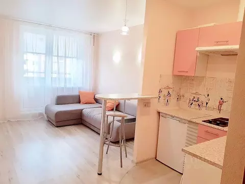 Студия Санкт-Петербург ул. Маршала Тухачевского, 23 (30.0 м)